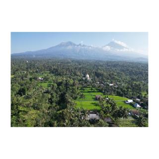 Rice Terrace Bungalows - Tetebatu - 7