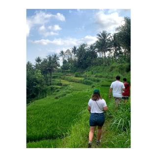 Rice Terrace Bungalows - Tetebatu - 4