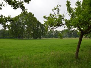 Holiday Home in Aalten near Recreational Pond - IJzerlo - 2
