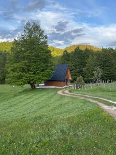 Vikendica Bukovica - Šavnik - 0