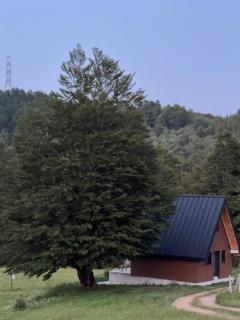 Vikendica Bukovica - Šavnik - 4