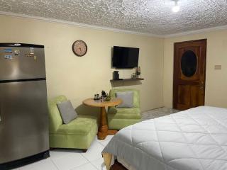 Buffy home away from home - Ocho Rios - 9
