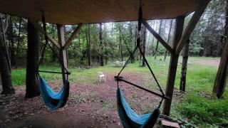 Rustic Tree House with Woodland Valley Views in Elba, Minnesota - Elba - 7