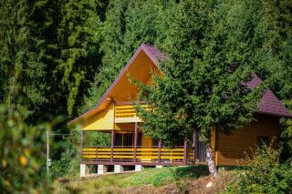 Котедж Forest house - 1