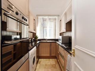 Luxury 2 bedrooms flat Cadogan Square - Londen - 1