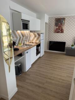 Appartement 40 m2 climatisé au centre ville de LGM - La Grande-Motte - 1