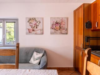 Lovely & Spacious house Pool, BBQ - Morbio Inferiore - 7