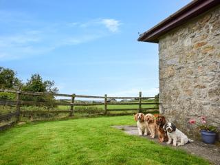 3 Bed in Falmouth CONSW - Constantine - 9