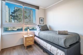Modern and comfortable apartment - Santiago - 2