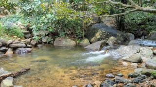 Sudagala Jungle Glamping - Ratnapura - 6