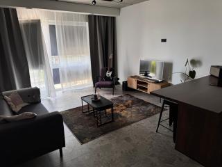 Airy Flat with a roof terrace - Kaunas - 6