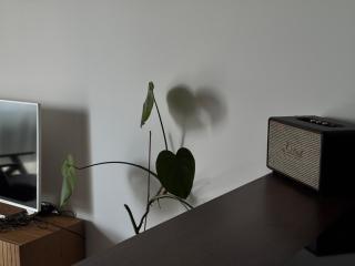 Airy Flat with a roof terrace - Kaunas - 5