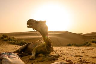 Heaven In Desert - - 4