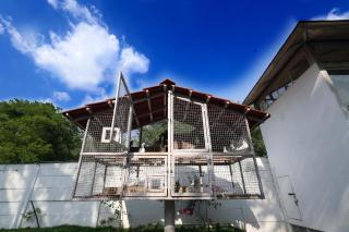 Gubbi Goodu Green Resort - Bangalore - 6