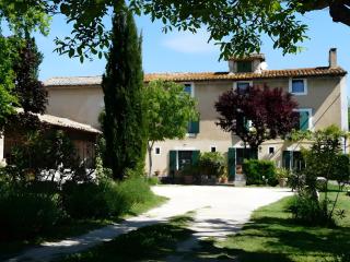 Le Castor - LʼIsle-sur-la-Sorgue - 0