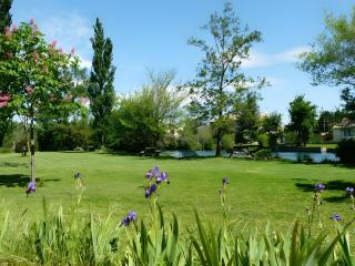La Loutre - LʼIsle-sur-la-Sorgue - 7