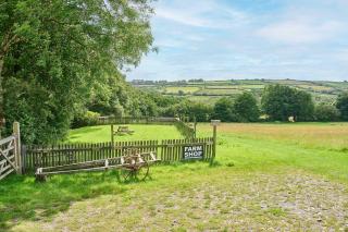 Host & Stay - Dipple Farm Shepherds Hut - Woolfardisworthy - 7