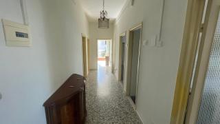 Cleo Calla - Ancona - 1