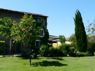 La Truite - LʼIsle-sur-la-Sorgue - 0