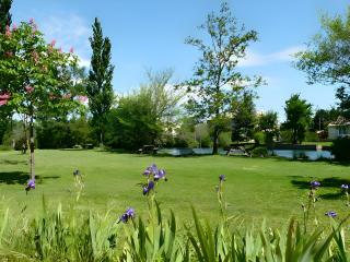 La Truite - LʼIsle-sur-la-Sorgue - 3