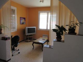 T3 clim 4 pers terrasse jardin piscine - Coursan - 4