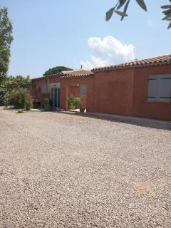 Petit Lézard - Draguignan - 0