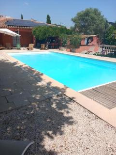 Petit Lézard - Draguignan - 6