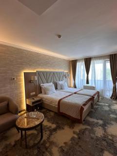 Hissar Spa Hotel - Hisarya - 8