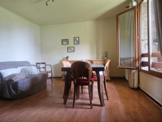 Downtown apartment for 6 people - Font-Romeu-Odeillo-Via - 3