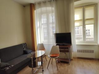 Pokój w prywatnym mieszkaniu 25m centrum Wrocławia - Wrocław - 8