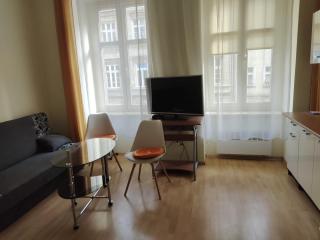 Pokój w prywatnym mieszkaniu 25m centrum Wrocławia - Wrocław - 9