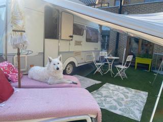 Gardencaravan near Ghent in green area - Ghent - 8