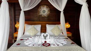 Eco Oasis Wooden Villa Ubud - Tegalalang - 3