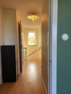 Charmig 50s bungalow med frodig privat trädgård - Vellinge - 3