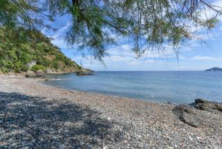 Cotetonda - Appartamento Taccola - 1