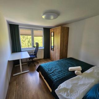 Słoneczny Apartament Panorama 5 7 z Widokiem na Jezioro i Góry - Polańczyk - 4