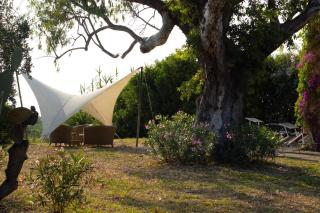 L'Orizzonte di Punta Tresino - 0