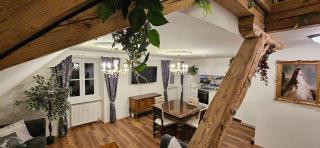 Sisi's Loft - Adults only - Bad Ischl - 4
