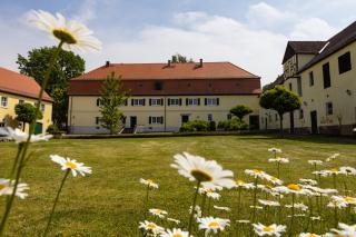 Landgasthof Wolf - Schrebitz - 8