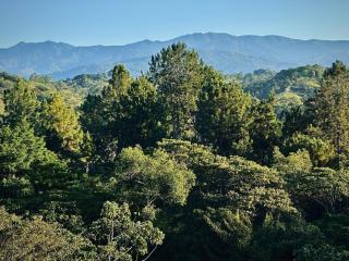 La Montana Refuge, Costa Rica, Cabin for Four - Coto Brus - 9