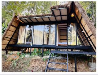 Lil Thatched camp - 4
