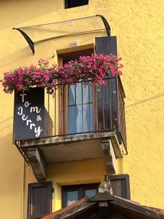Tom e Jerry - Lierna - 8