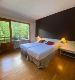 Hotel Els Avets - Sorpe - 8