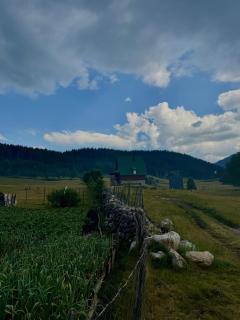 Nomad Lodge Zminica - Žabljak - 9