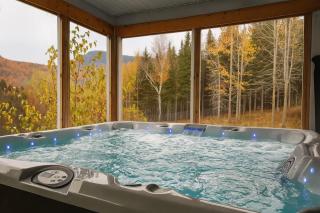 Detente Nature bord de Lac #1 Spa Sauna & Foyer - Sainte Brigitte de Laval - 0