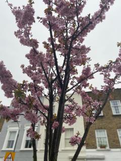 One bed apartment - Londra - 1