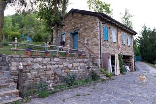 Cottage nella natura - Casa Le Cince - 9