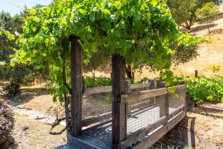 Luxurious Wine Country Oasis Wine Tastings Included - 3