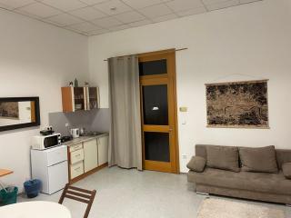Vlnena Apartmans - Brno - 4