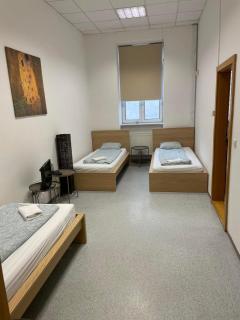Vlnena Apartmans - Brno - 0